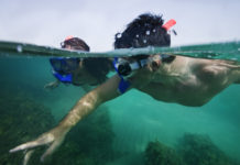 An Extraordinary Island Adventure At Anantara Sir Bani Yas Island Resorts