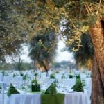 Olive Graden wedding setup (Copy)