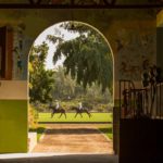 Stables view of polo training (Copy)