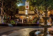 ‘Tis festive season at Soho Bar & Grill Soho Bar Grill