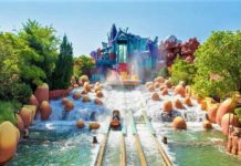 Get Hot Summertime Deals in Orlando Orlando