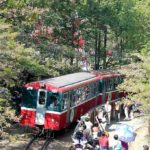 Alishan Forest Train 1