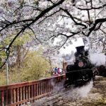 Alishan Forest Train 2