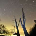 Alishan national scenic area 2