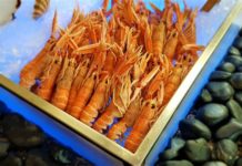 Anise at Dubai Festival City creates a new ‘Taste of the World’ brunch Anise