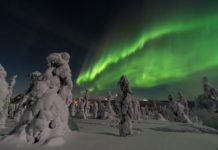 UAE visitors to Finland increased by 20.6% in 2018